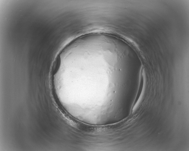 X0000060771375200512011600