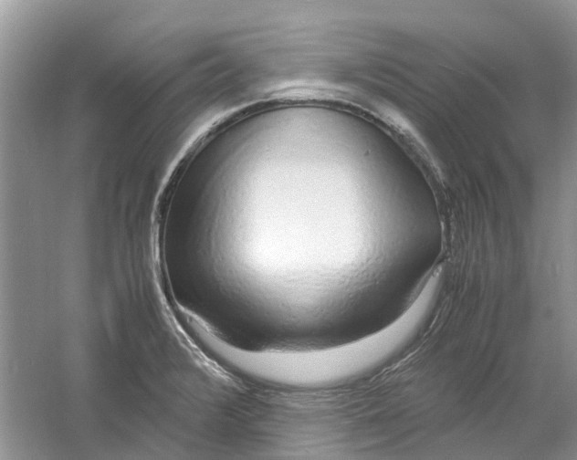 X0000060771376200512011600