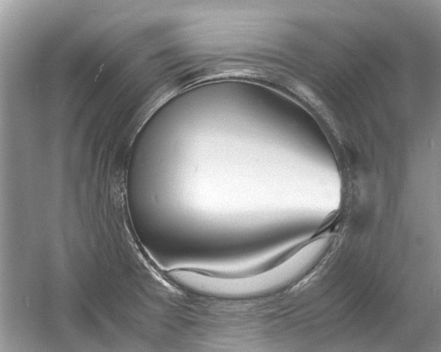 X0000060771377200512011600