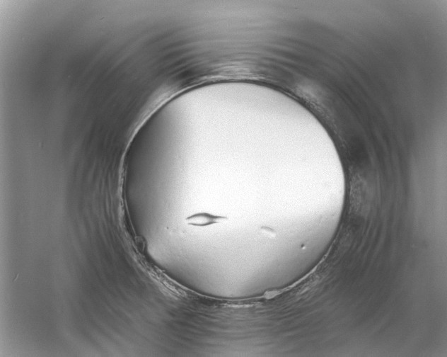 X0000060771378200512011600