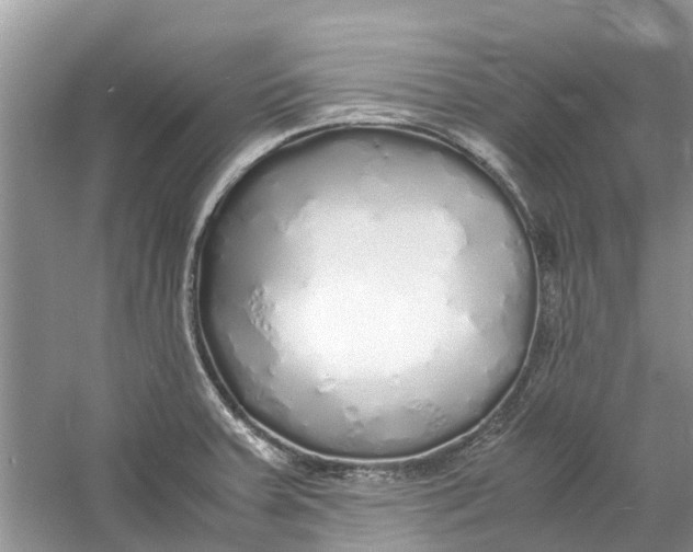 X0000060771379200512011600