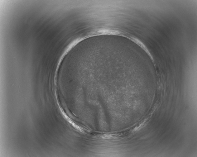 X0000060771381200512011600