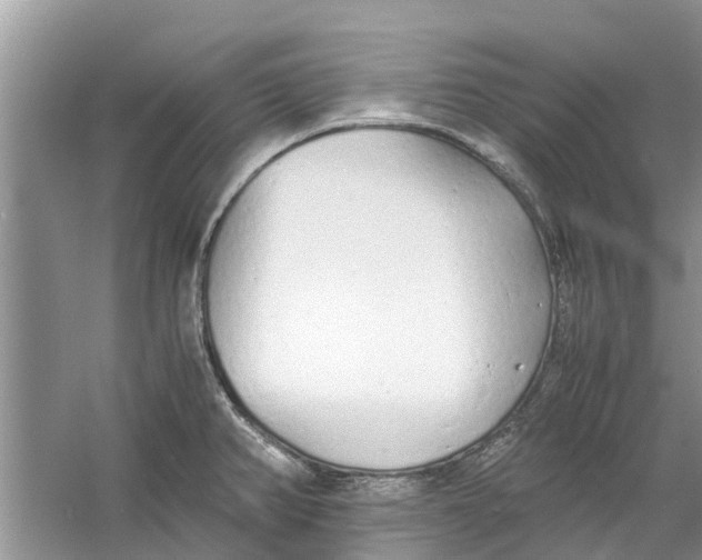 X0000060771382200512011600