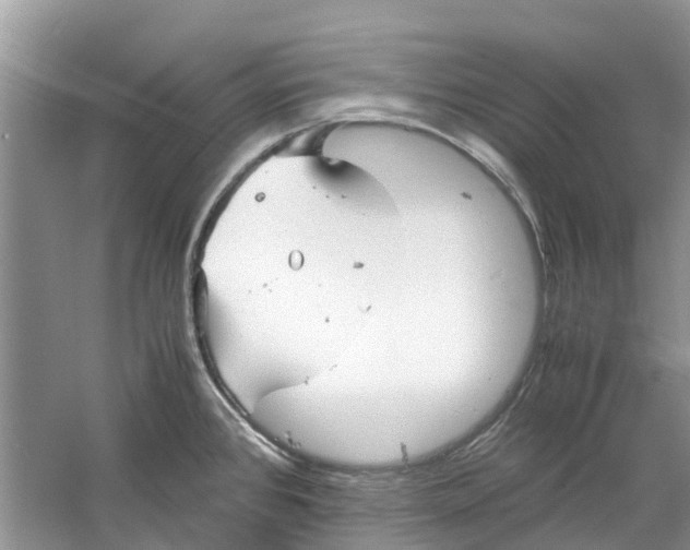 X0000060771384200512011600