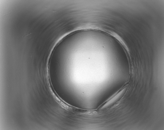 X0000060771388200512011600