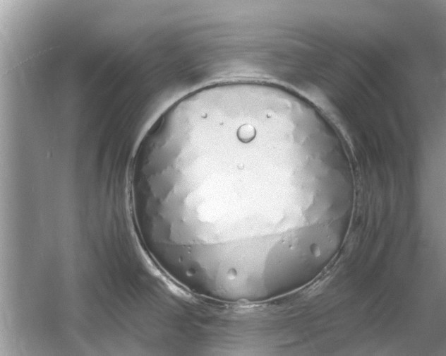 X0000060771390200512011600