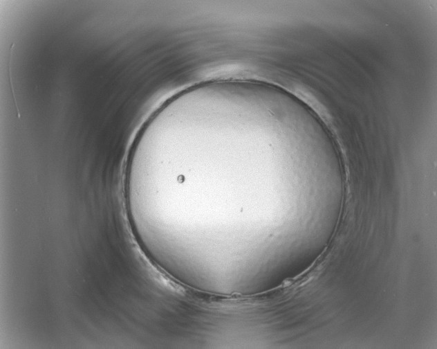 X0000060771392200512011600