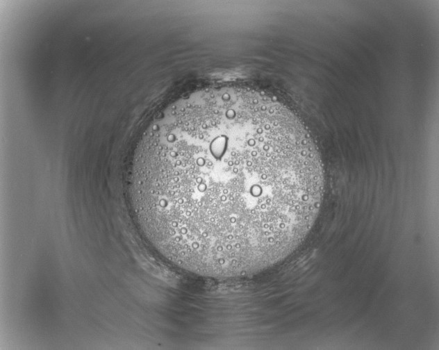 X0000060771393200512011559