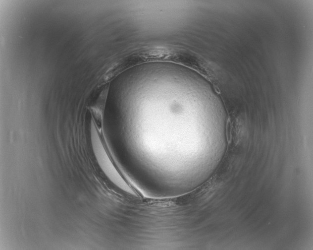 X0000060771394200512011559