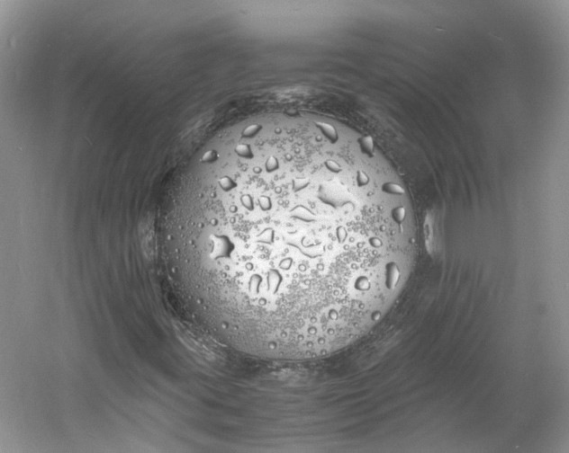 X0000060771395200512011559