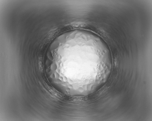 X0000060771396200512011559