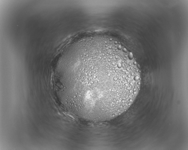 X0000060771397200512011559