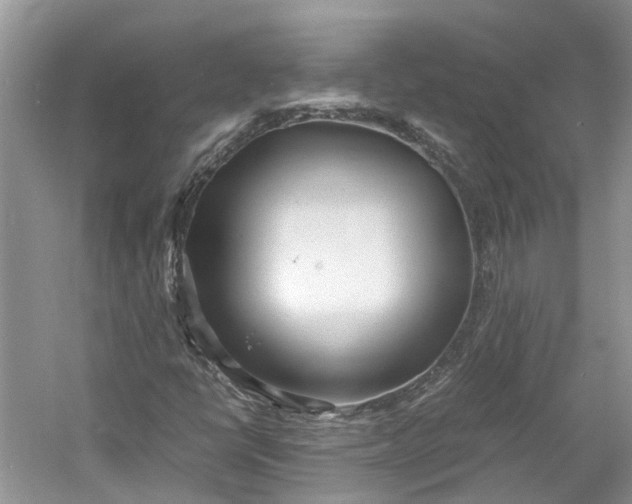 X0000060771398200512011559