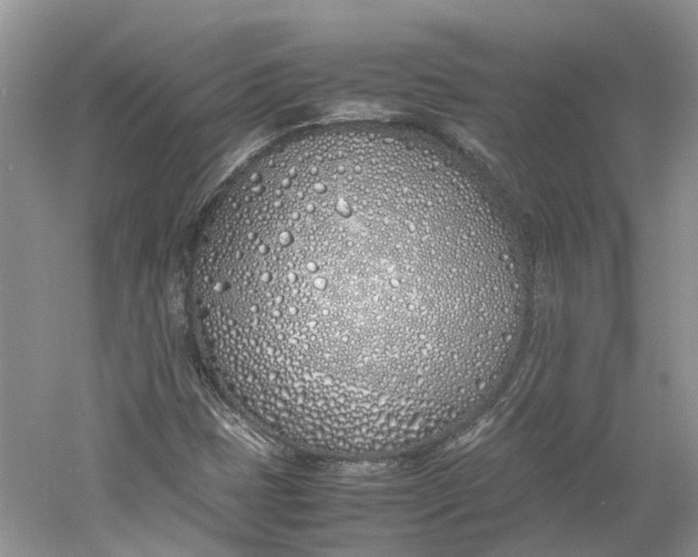 X0000060771401200512011559