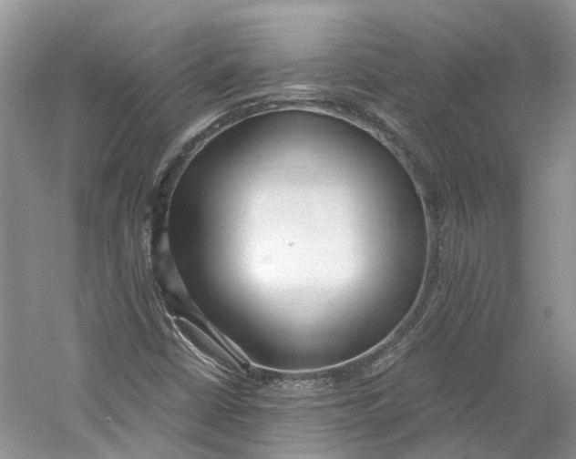 X0000060771402200512011559