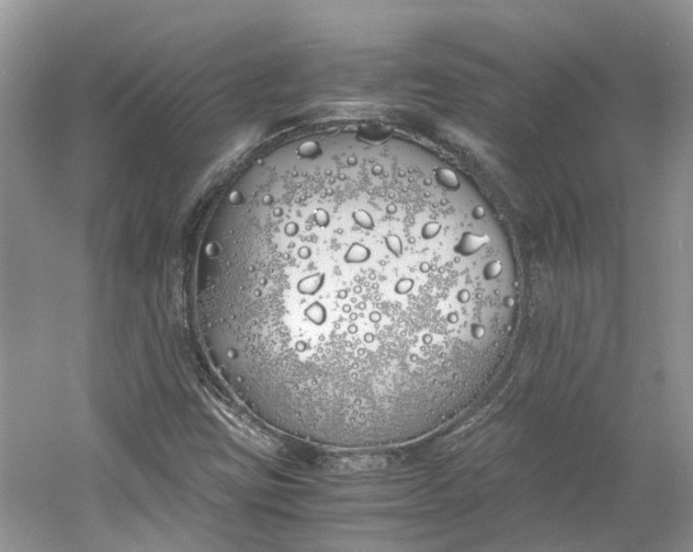 X0000060771403200512011559