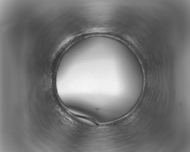 X0000060771406200512011559