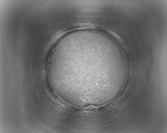 X0000060771407200512011559