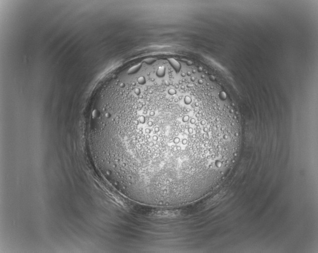 X0000060771411200512011559