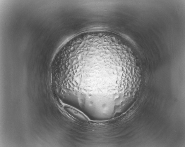 X0000060771413200512011559