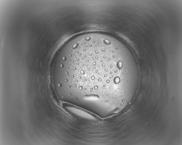 X0000060771415200512011559