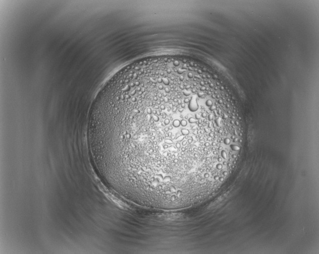 X0000060771417200512011559