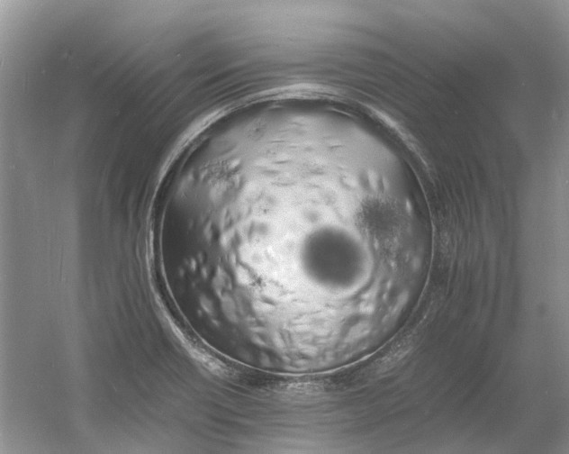 X0000060771418200512011559