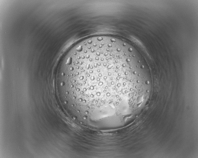 X0000060771419200512011559