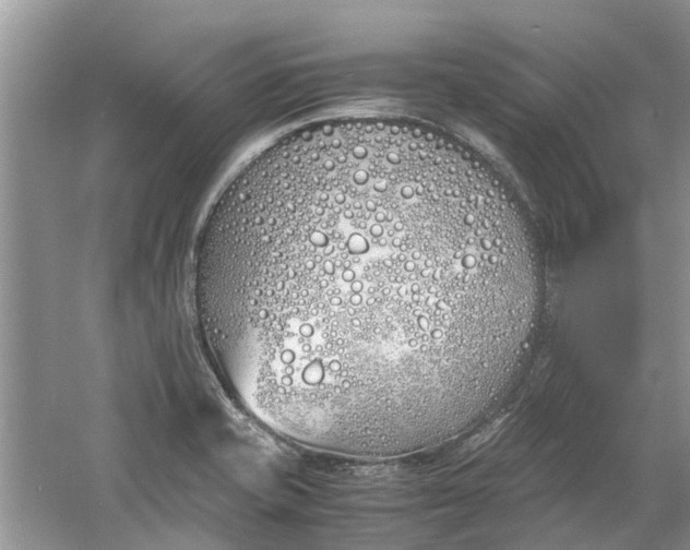 X0000060771421200512011559