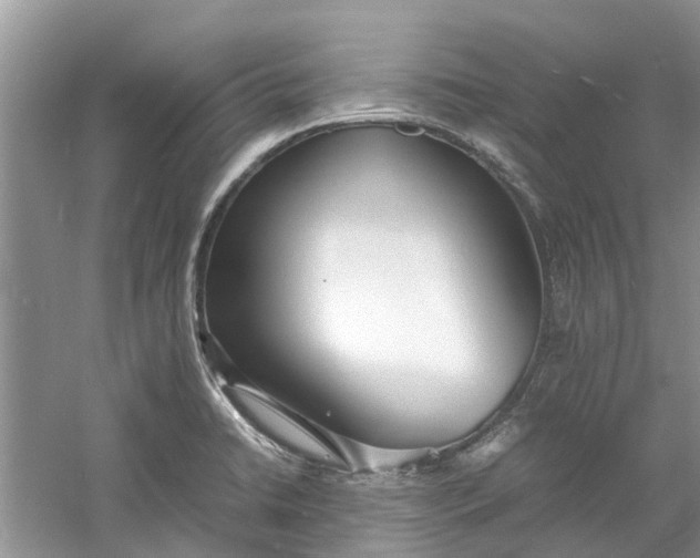 X0000060771422200512011559