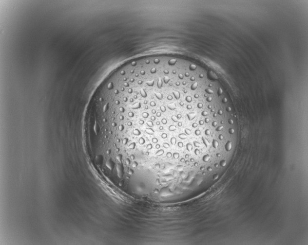 X0000060771423200512011559