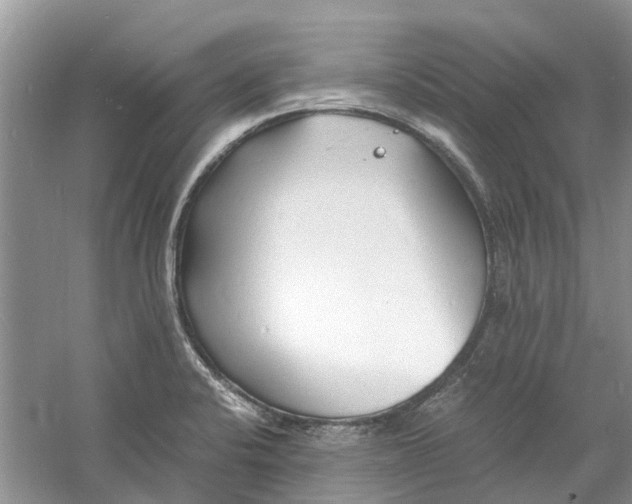 X0000060771424200512011559