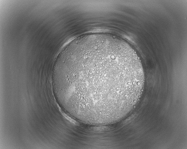 X0000060771425200512011559