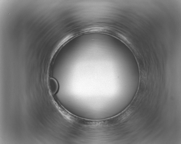 X0000060771426200512011600