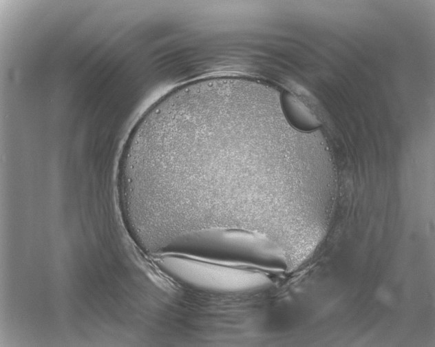 X0000060771427200512011600