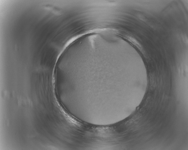 X0000060771428200512011600