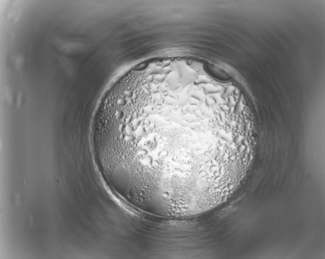 X0000060771429200512011600