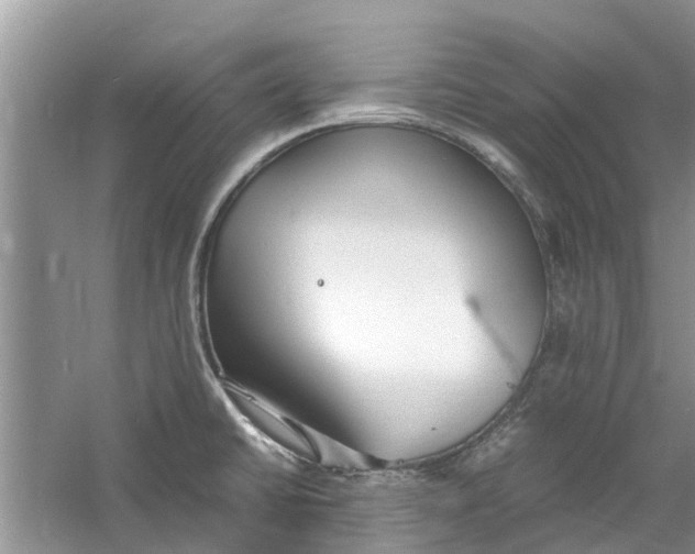 X0000060771430200512011600