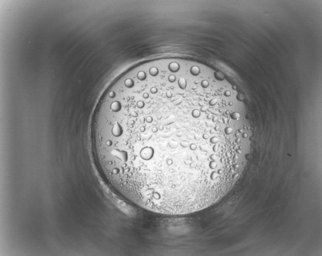 X0000060771431200512011600