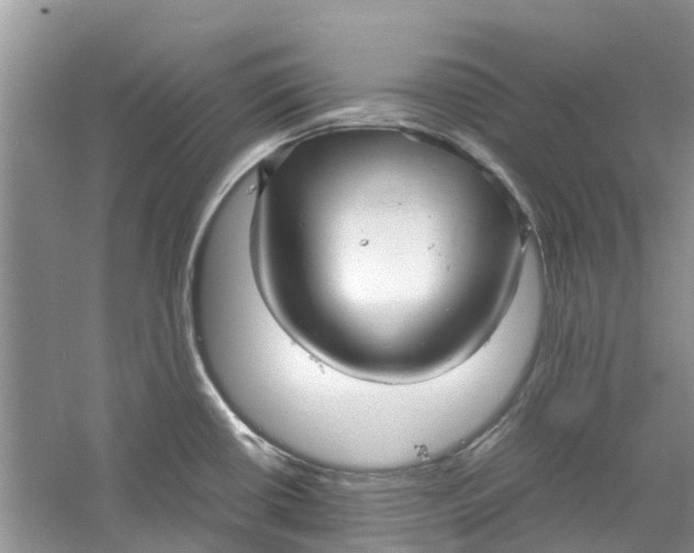 X0000060771434200512011600