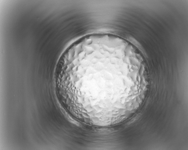 X0000060771436200512011600