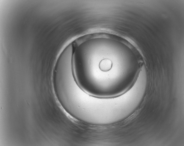 X0000060771438200512011600