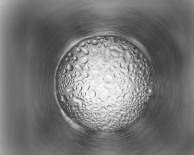 X0000060771439200512011600