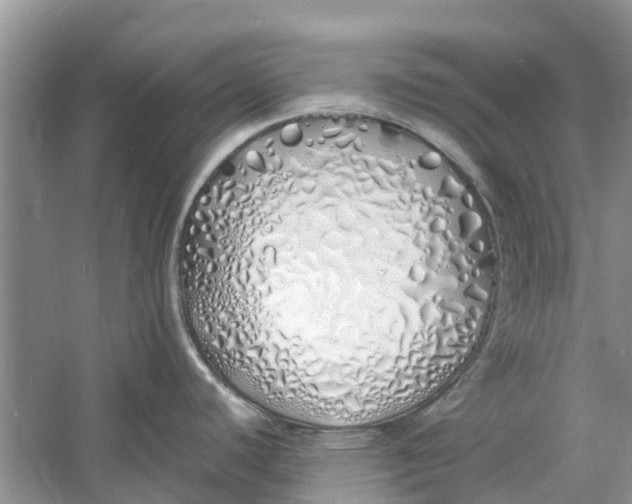 X0000060771440200512011600