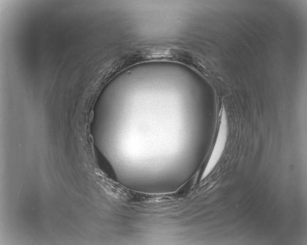 X0000060771441200512011559