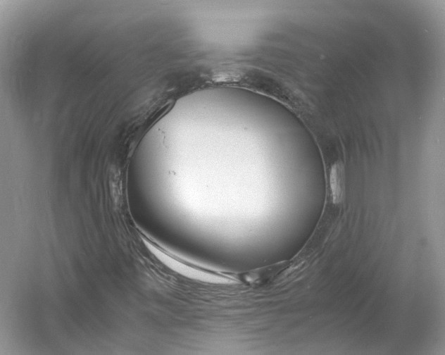 X0000060771443200512011559