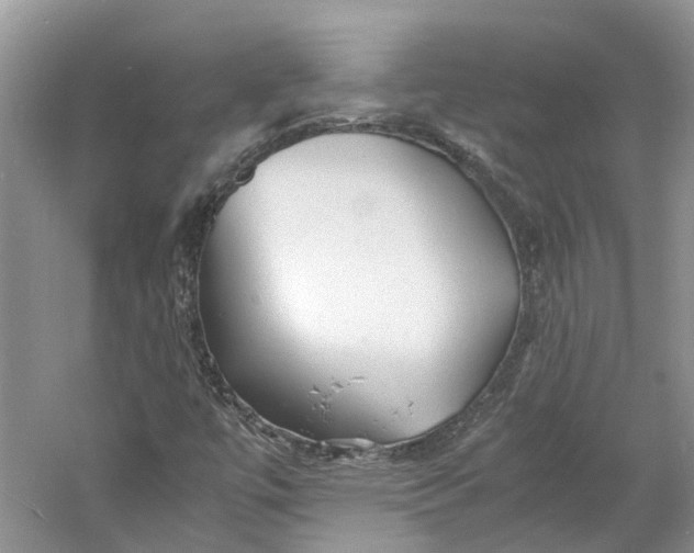 X0000060771447200512011559