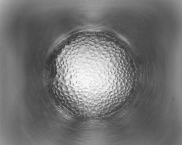 X0000060771448200512011559