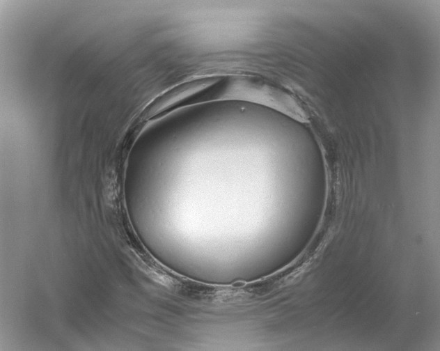 X0000060771449200512011559