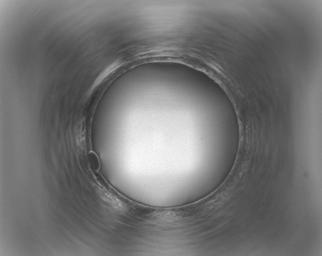 X0000060771450200512011559